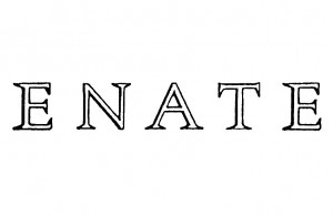 Logo-ENATE_800x1392-300x195